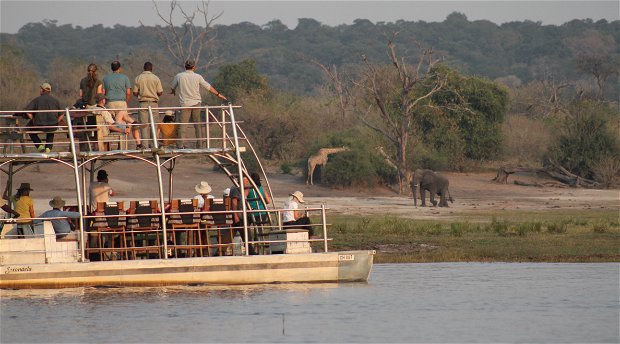 The ultimate Chobe River Safari experience