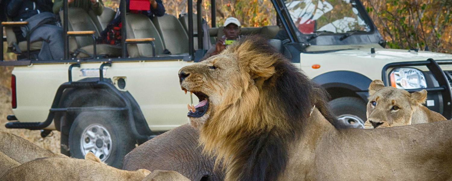Game drive in the Chobe