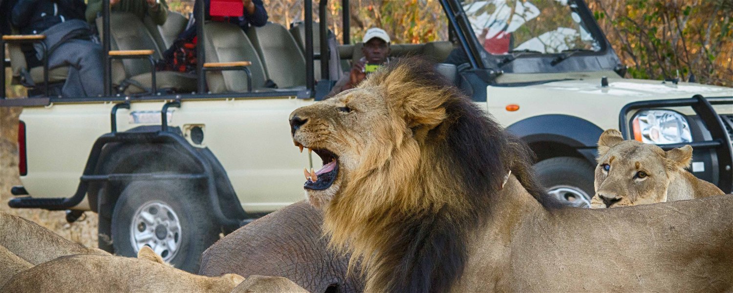 Game drive in the Chobe