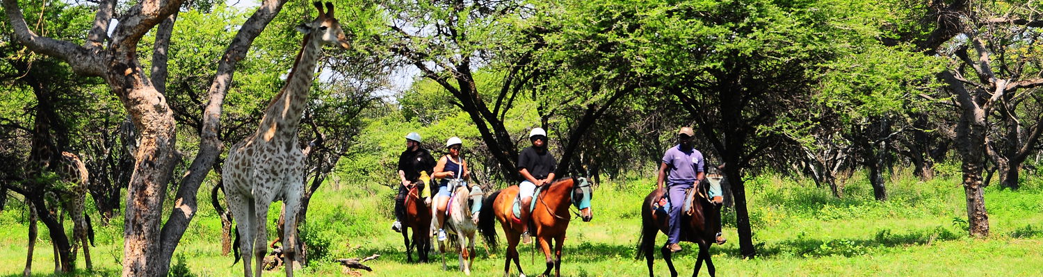 Horseback riding safari Hartbeespoort horse riding couples date ideas