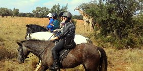 Horse riding Johannesburg