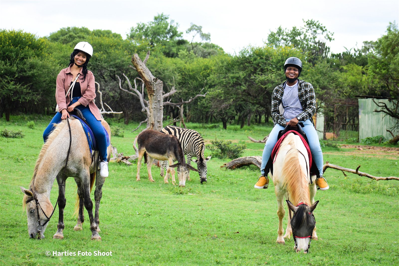 haartebees things to do, activities hartbeespoort, harties activities, harties things to do, horse riding harties, quad bike harties, harties horse trail safaris