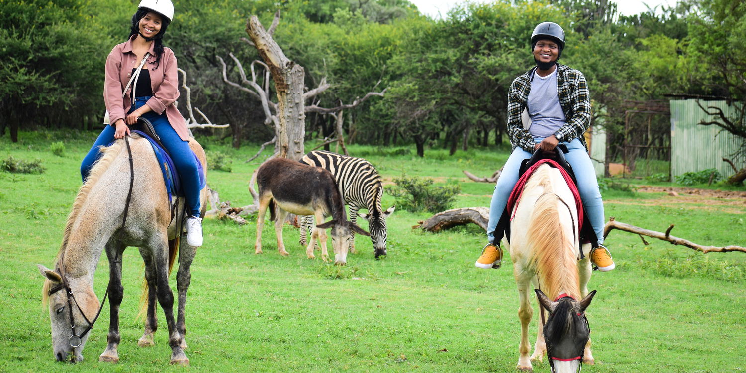 haartebees things to do, activities hartbeespoort, harties activities, harties things to do, horse riding harties, quad bike harties, harties horse trail safaris