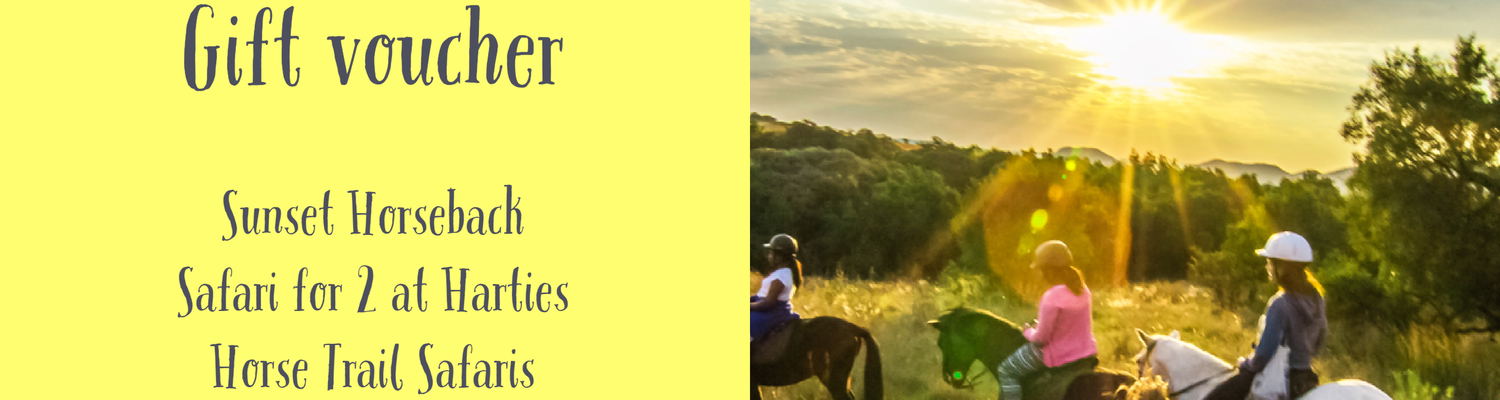 Gift certificate for birthday, adventure gift certificate, Christmas gift voucher