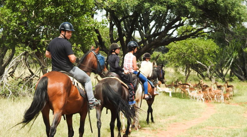 Horseback safari, activities hartbeespoort, activities gauteng, things to do harties, things to do in Hartbeespoort, Harties activities, fun things hartbeespoort, outdoor activities gauteng, Harties horse trail safaris, horse riding hartbeespoort, hartebees things to do, hartebees activities, pretoria activities, pretoria things to do Horseback safari, activities hartbeespoort, activities gauteng, things to do harties, things to do in Hartbeespoort, Harties activities, fun things hartbeespoort, outdoor activities gauteng, Harties horse trail safaris, horse riding hartbeespoort, hartebees things to do, hartebees activities, pretoria activities, pretoria things to do