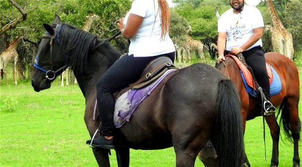 horse riding hartbeespoort, things to do hartbeespoort, activities hartbeespoort, couples activities, gauteng activities, johannesburg activities