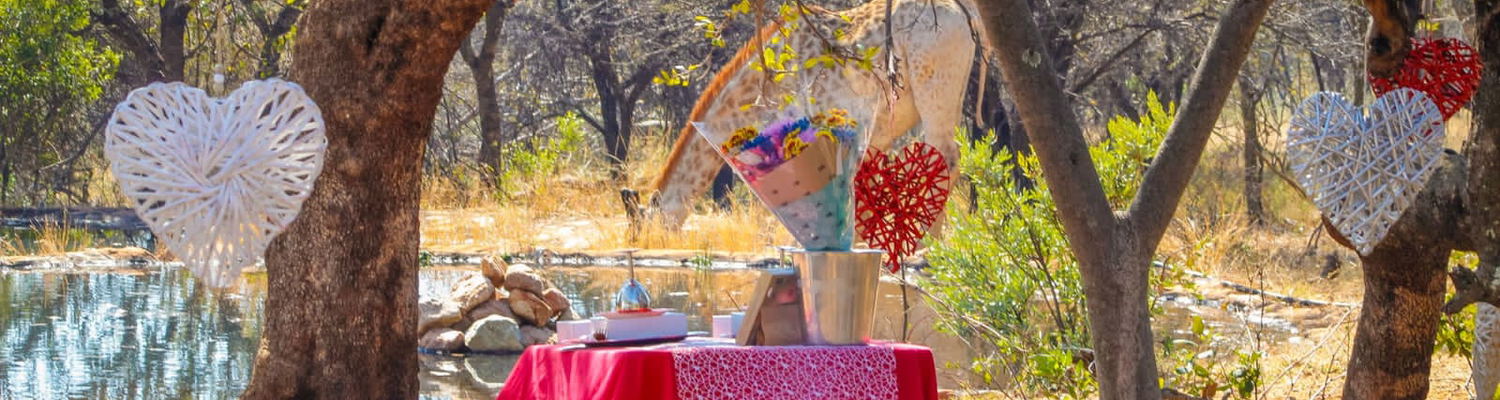 romantic picnic, hartbeespoort picnic, engagement ideas, engagement harties, engament hartbeespoort, couples activities hartbeespoort, haartebees things to do, things to do harties, couples day out harties, romantic ideas hartbeespoort