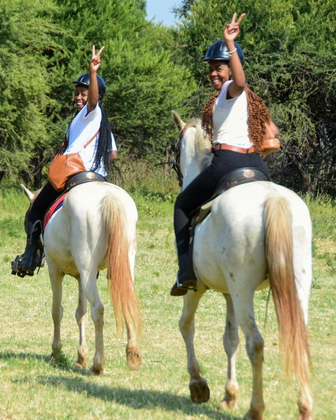 horse riding harties, haartebees things to do, things to do in harties, hartbeespoort activities, harties activities, horse riding haartebees, haartebees activities