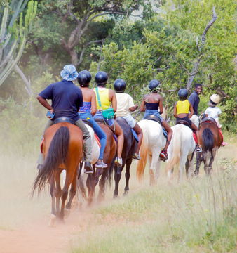 horse riding harties, haartebees horse riding, horseback safari hartbeespoort, harties horse trail safaris, horse riding adventure, things to do hartbeespoort, haartebees things to do, family activities harties, family things to do hartbeespoort