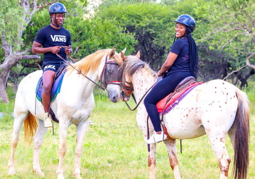 haartebees things to do, harties activities, hartbeespoort things to do, hartebees activities, horse riding harties, haartebees horse riding, hartbeespoort horse riding, ride a horse pretoria, ride a horse johannesburg 