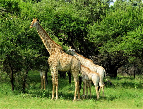 bushwalk, hike hartbeespoort, nature reserve hike, walk nature reserve, hiking nature reserve