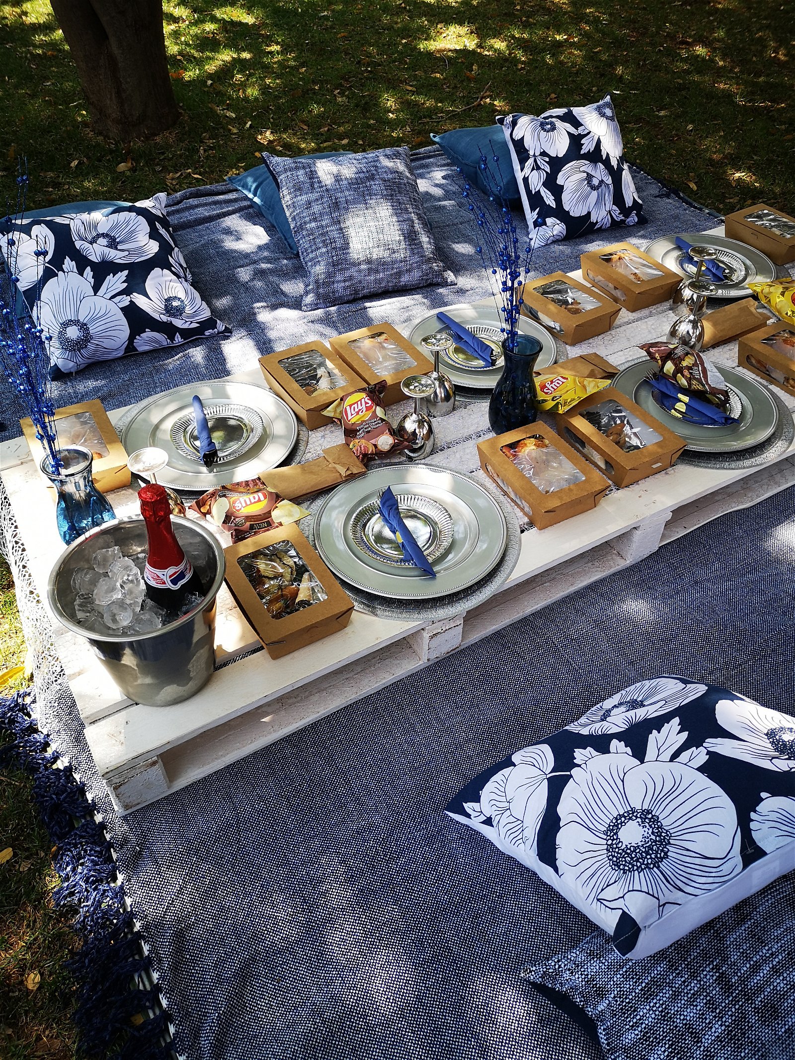 Luxury Picnic, birthday celebration hartbeespoort, birthday occasion harties, hartbeespoort birthday celebrate