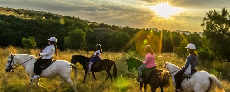 Sunset ride at Harties Horse Trail Safaris