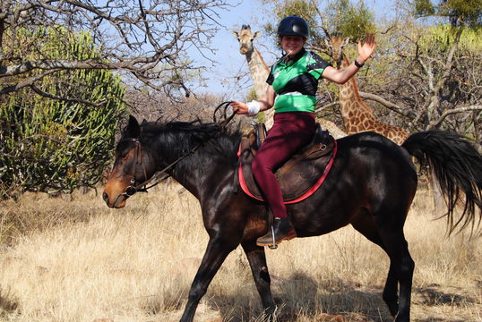 Horse riding safari Hartbeespoort Gauteng