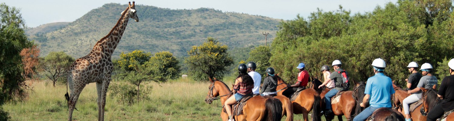 Horseback safari, activities hartbeespoort, activities gauteng