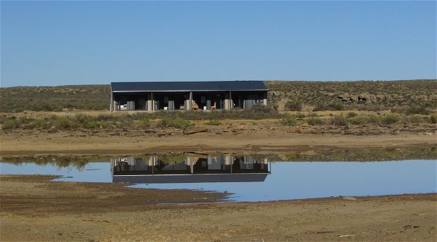 Rogge Cloof; Karoo cheetahs; cheetah tracking; safe farm stay; family break-away; eco-holiday