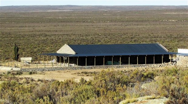 adventure camp; game drive; accommodation; outdoors; holiday; animals; wine and dine; wine; dine; roadtrip; adventure camp; game drive; accommodation; outdoors; holiday; animals; wine and dine; wine; dine; roadtrip;