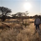 free ranging hunting namibia