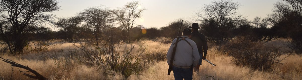 free ranging hunting namibia