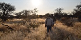 free ranging hunting namibia