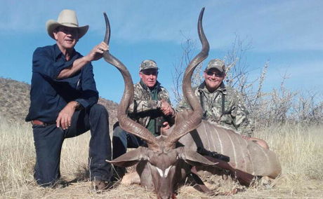 free ranging hunting in namibia