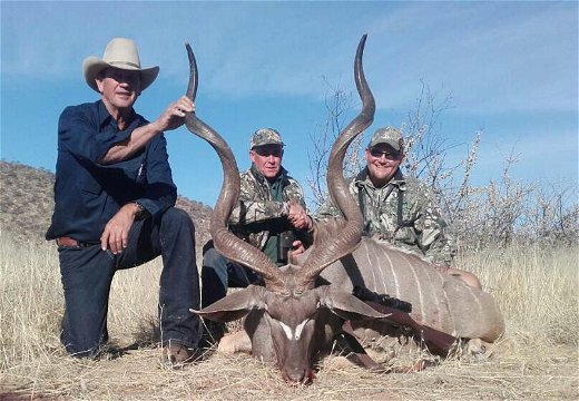 free ranging hunting in namibia