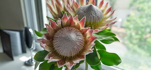 Your Loyalty Deserves More - Unlock up to 25% Off