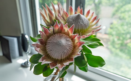 Your Loyalty Deserves More - Unlock up to 25% Off