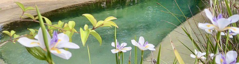 farmhouse pool