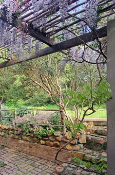 bedroom 2 onto back garden