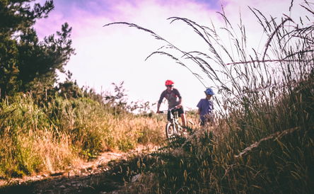 Mountain Biking
