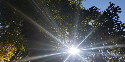 The floating statue of Dorji Phagmo In Paro