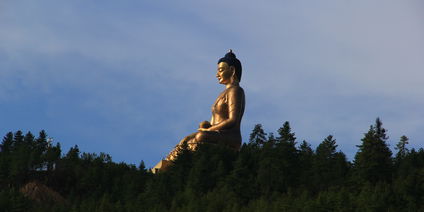 Spiritual Journey with Bhutan Swallowtail