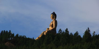 Spiritual Journey with Bhutan Swallowtail