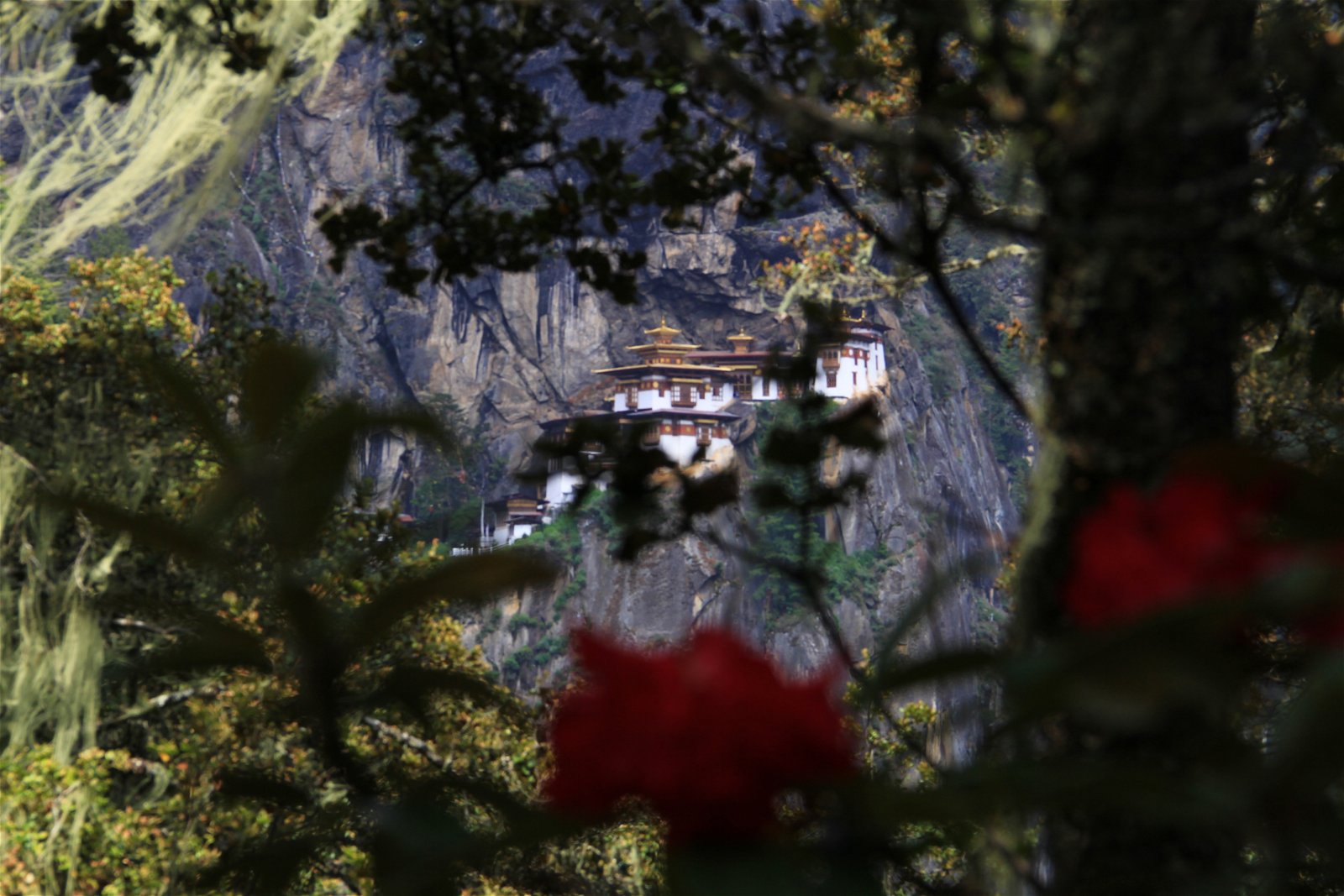 Taktsang Monastery, Taktsang Lhakhang, Tiger's Nest in Bhutan