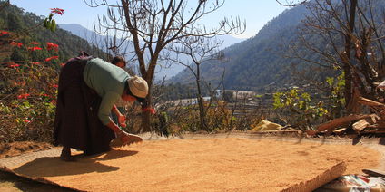 Jiligang Village Hike