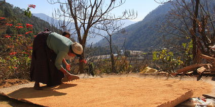 Jiligang Village Hike