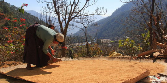 Jiligang Village Hike