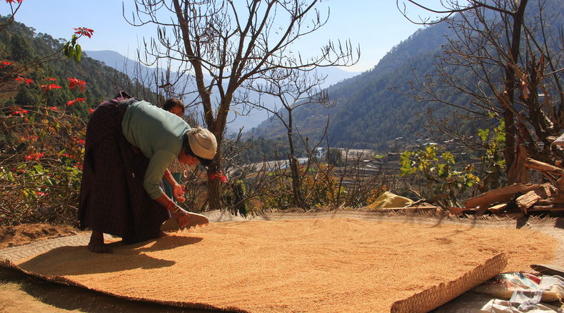 Off the Beaten Activities, Nature Hike in Bhutan, Spiritual Hike in Bhutan, Bhutan Tour and Treks Off the Beaten Activities, Nature Hike in Bhutan, Spiritual Hike in Bhutan, Bhutan Tour and Treks