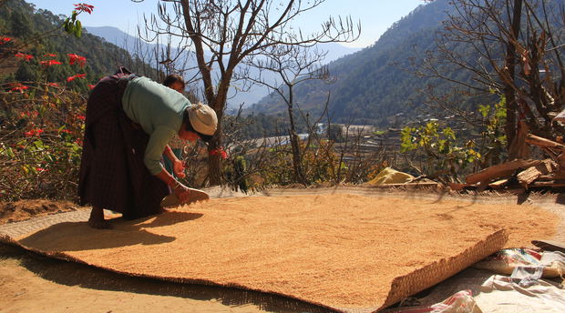 Off the Beaten Activities, Nature Hike in Bhutan, Spiritual Hike in Bhutan, Bhutan Tour and Treks Off the Beaten Activities, Nature Hike in Bhutan, Spiritual Hike in Bhutan, Bhutan Tour and Treks