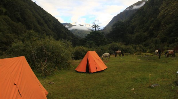 Sagala Trek, Trekking in Bhutan, Trekking Adventure Sagala Trek, Trekking in Bhutan, Trekking Adventure