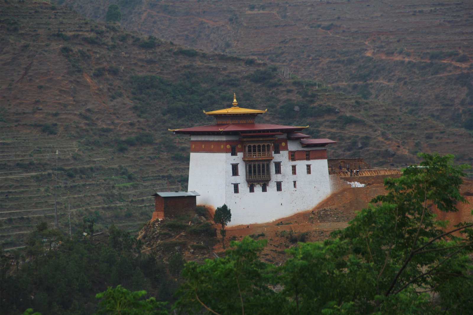 Bhutan Swallowtail Promotional Offer