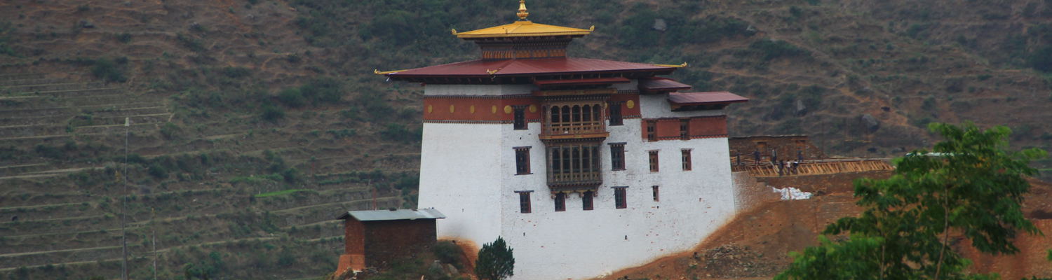 Bhutan Swallowtail Promotional Offer