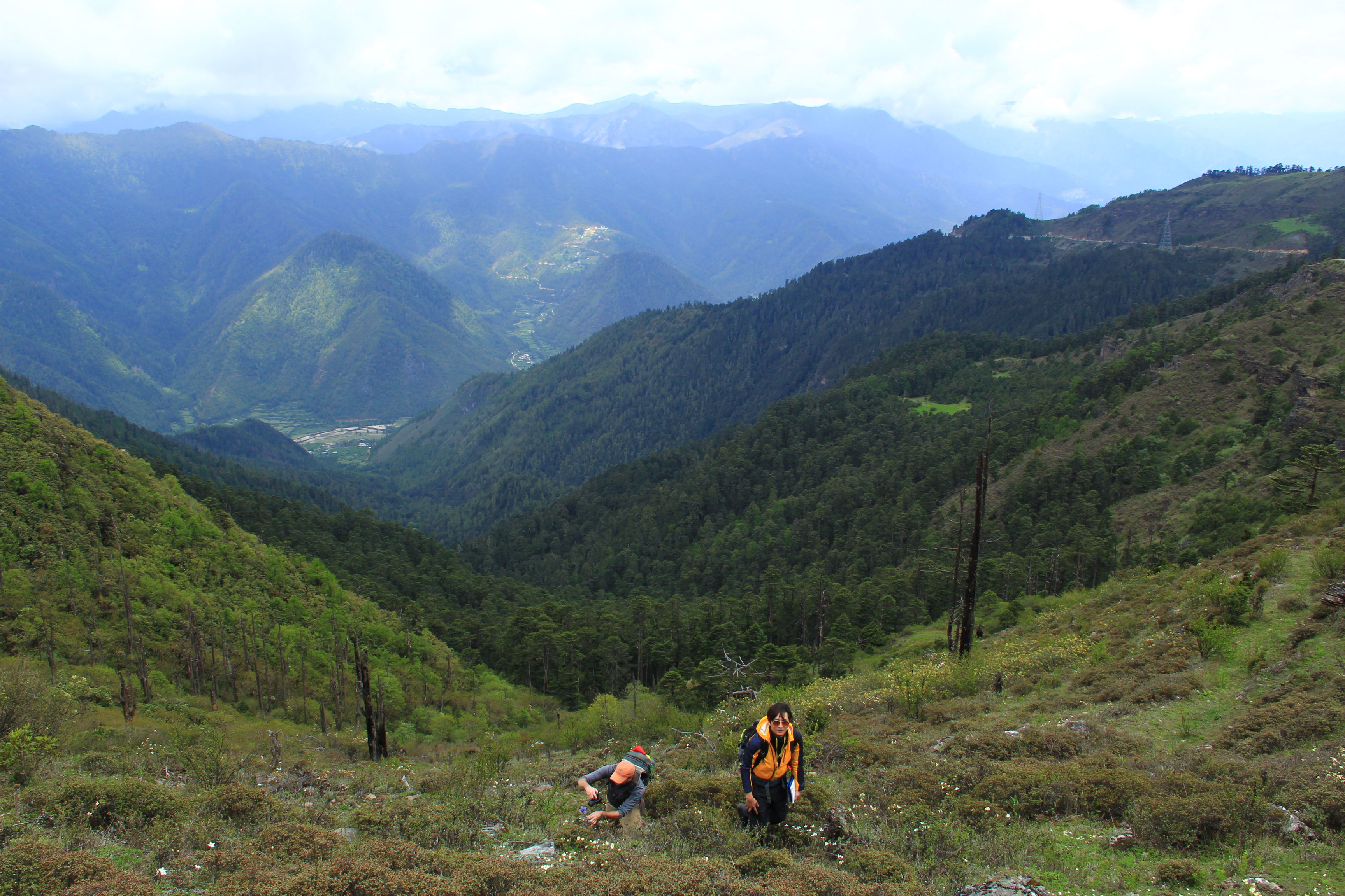 Bhutan Tour Guide, Bhutan Swallowtail Team 