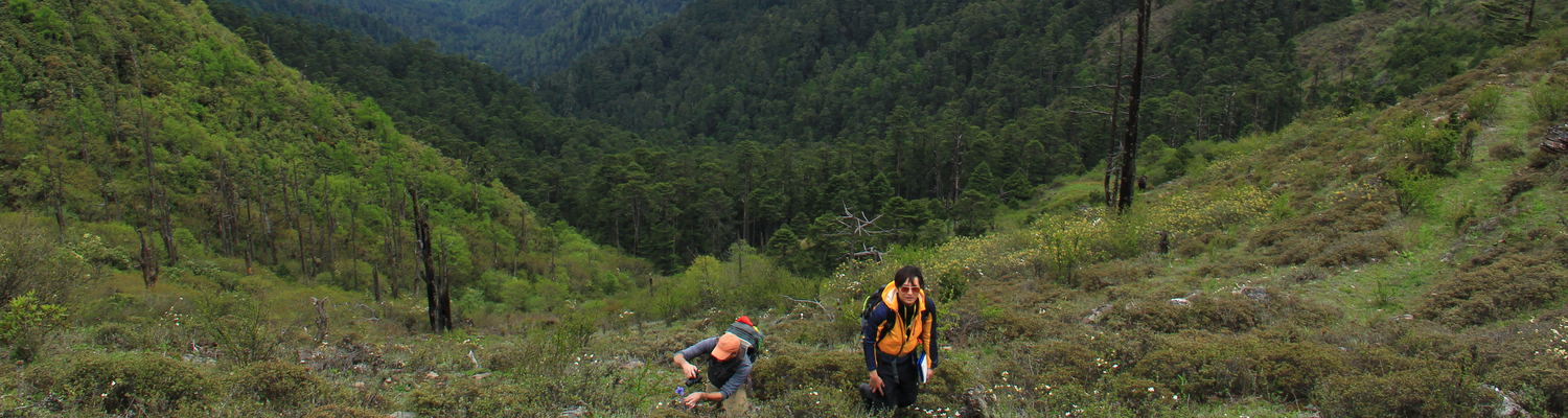 Bhutan Tour Guide, Bhutan Swallowtail Team