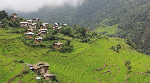 Cross Country Bhutan Tour, East West Bhutan Tour, Bhutan Cultural Tour Cross Country Bhutan Tour, East West Bhutan Tour, Bhutan Cultural Tour
