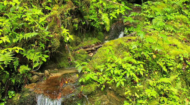 Off the Beaten Activities, Nature Hike in Bhutan, Spiritual Hike in Bhutan, Bhutan Tour and Treks