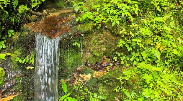 Off the Beaten Activities, Nature Hike in Bhutan, Spiritual Hike in Bhutan, Bhutan Tour and Treks Off the Beaten Activities, Nature Hike in Bhutan, Spiritual Hike in Bhutan, Bhutan Tour and Treks