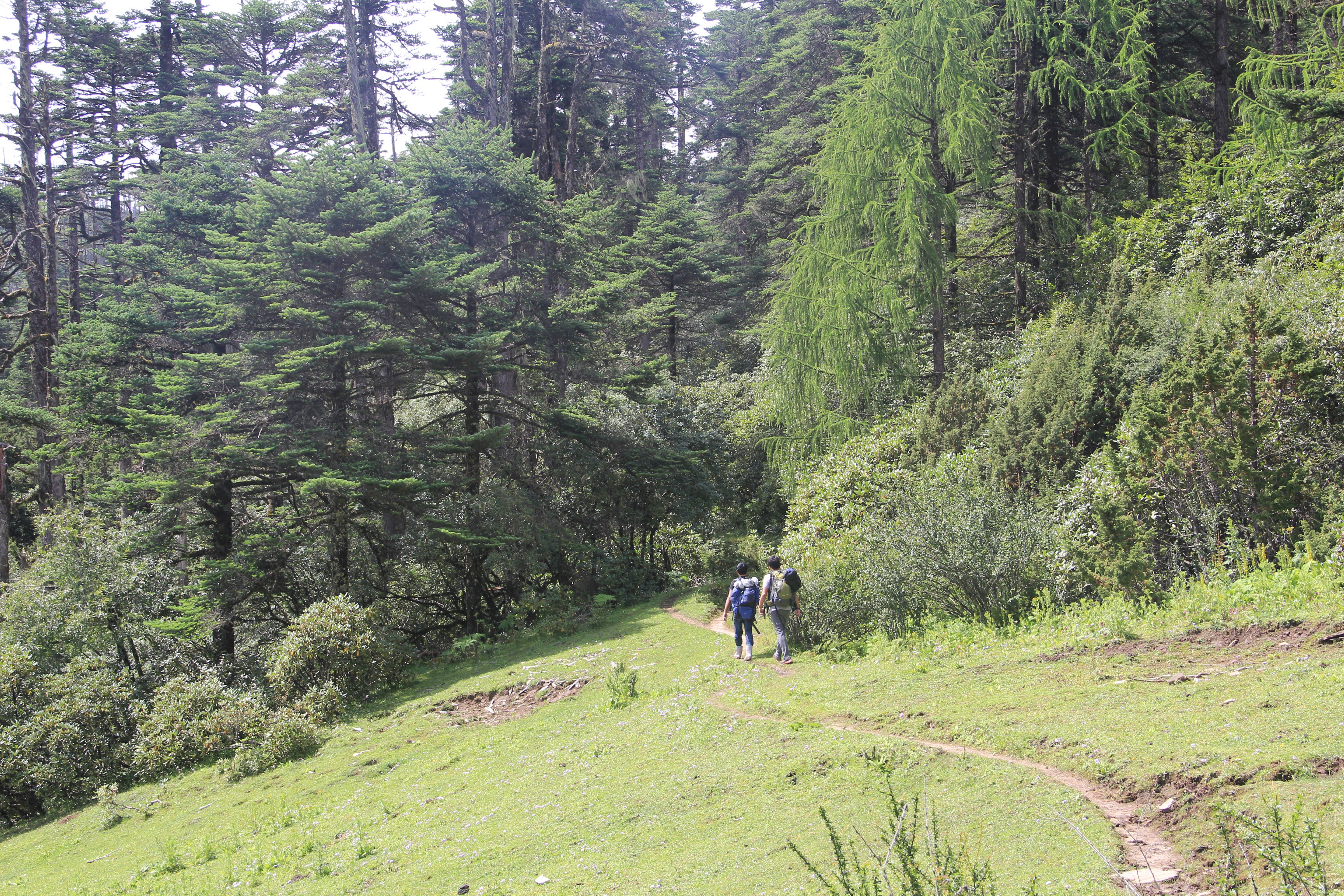 Off the Beaten Activities, Nature Hike in Bhutan, Spiritual Hike in Bhutan, Bhutan Tour and Treks