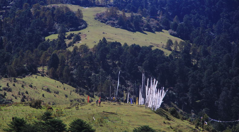 Nature of Bhutan, Preservation, Bhutan Nature, Bhutan Environment, Bhutan Nature Travel, Bhutan Culture, Bhutan Travel, Bhutan Holiday Nature of Bhutan, Preservation, Bhutan Nature, Bhutan Environment, Bhutan Nature Travel, Bhutan Culture, Bhutan Travel, Bhutan Holiday